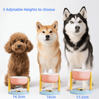 50% Discount | StableBite™ | Healthy posture & cleaner bowls!