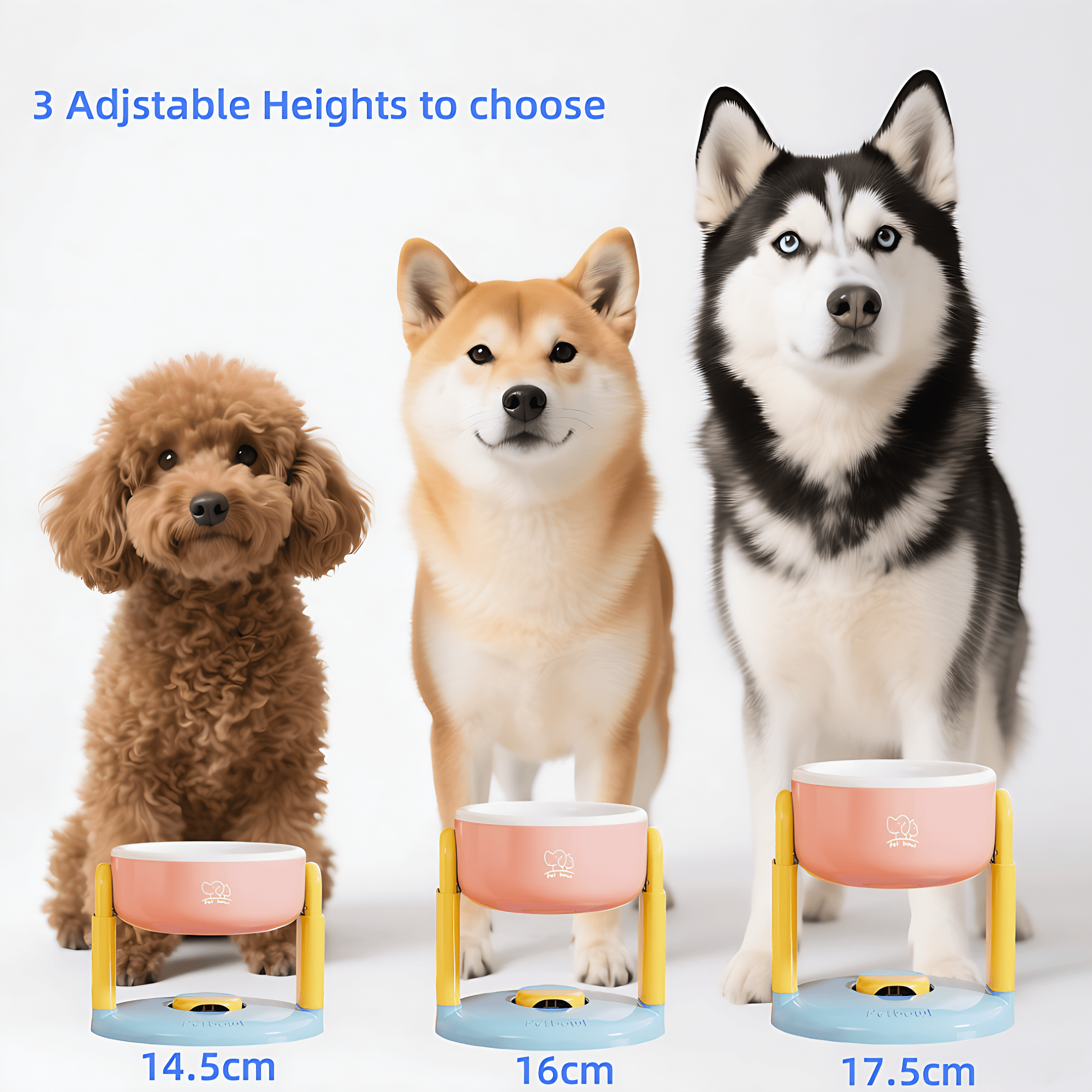 50% Discount | StableBite™ | Healthy posture & cleaner bowls!