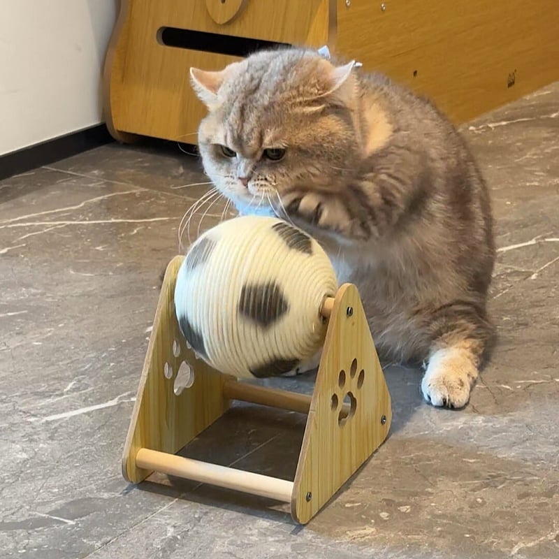 🔥LAST DAY 49% OFF - 🐱Cat Soccer Game Toy