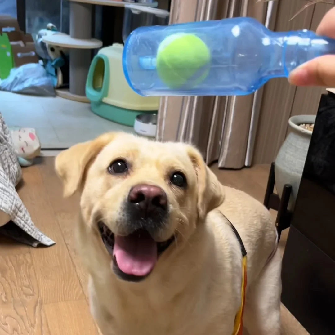 Tennis Ball Bottle