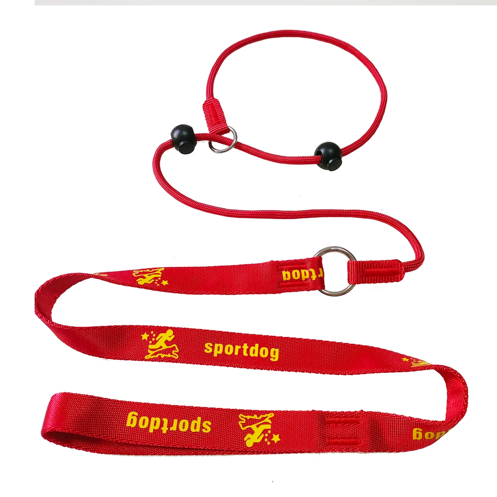 2-in-1 Slip-Lead Dog Leash – Training Collar & Walking Lead with Anti-Tangle Swivel