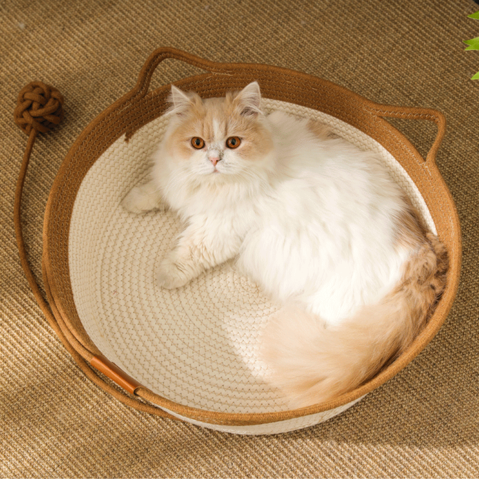 CutyPet™ Basket