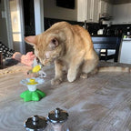 Interactive Flying Bird Cat Toy
