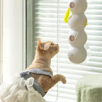 WhiskerGizmo™ Stimulates Hunting Instinct