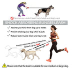 🔥Hands Free Dog Leash with Zipper Pouch