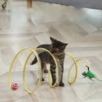 MeowMania™ – Integrated Toy