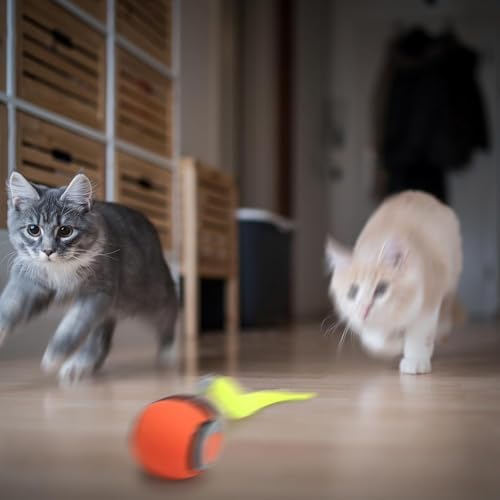 Speedy Tail 2.0 – Smart Interactive Cat Toy Ball
