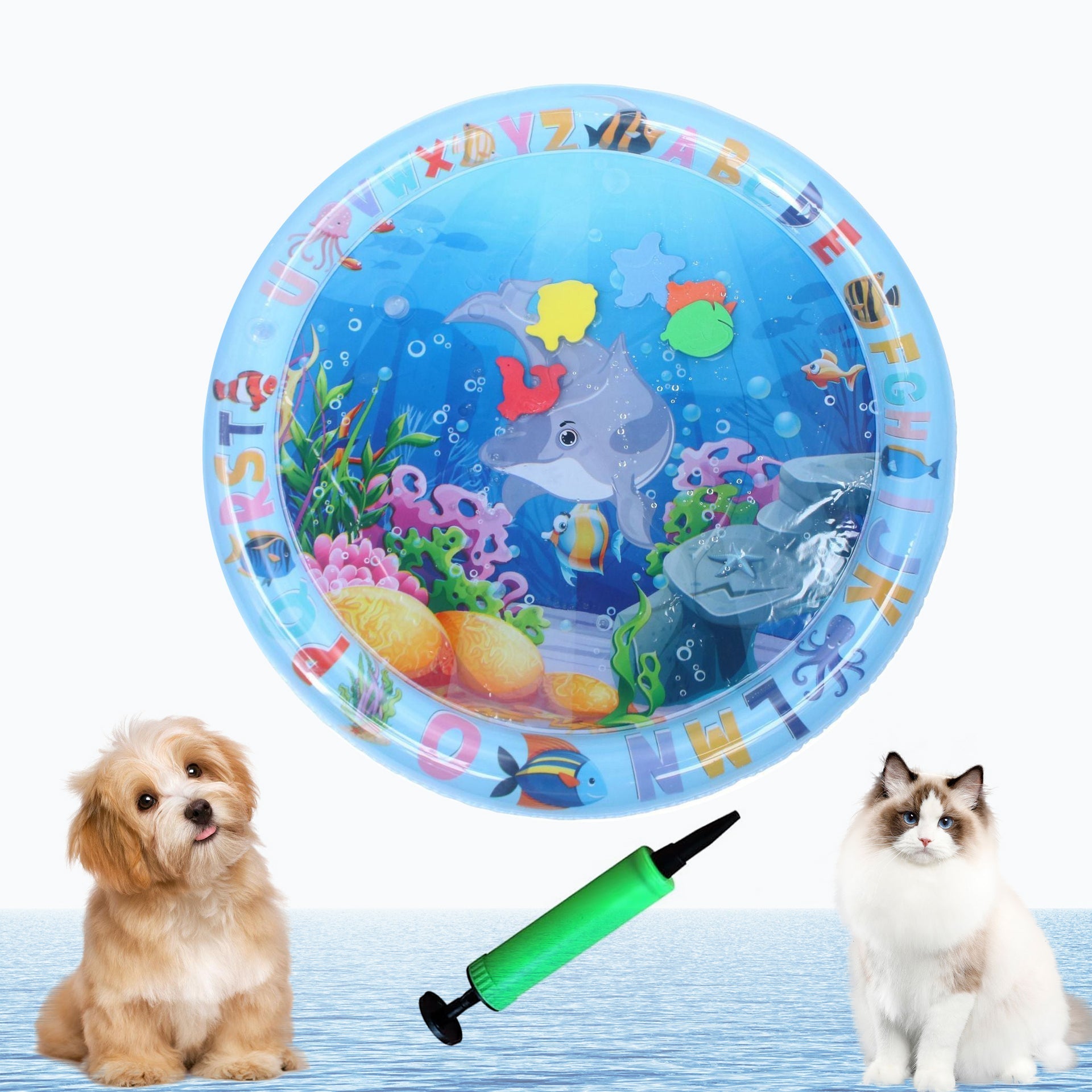 Ocean Breeze Splashland - DogPlaybox