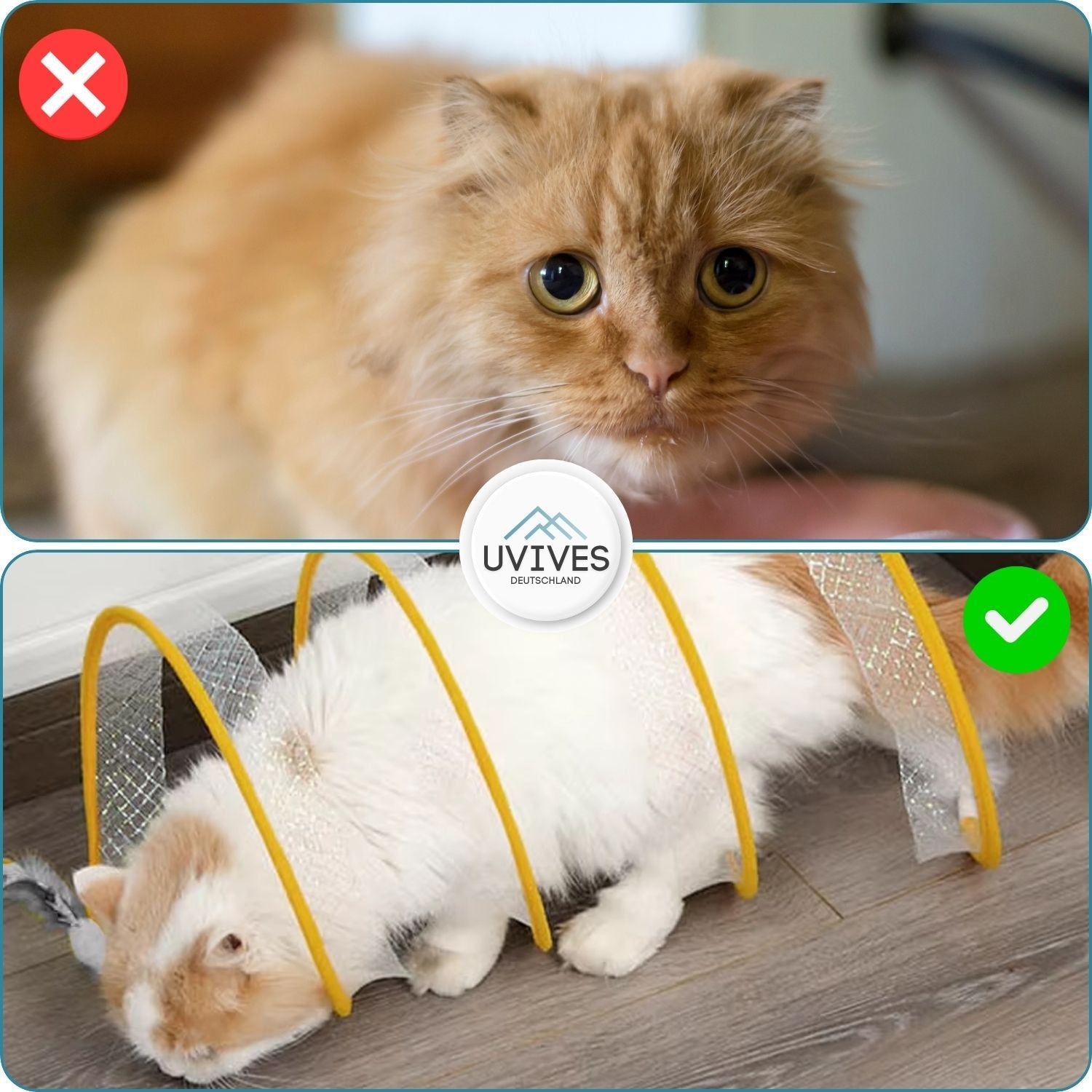 MeowMania™ – Integrated Toy
