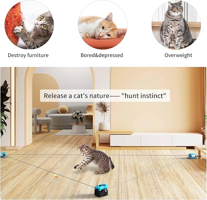 CutyChase™ - Interactive Cat Toy