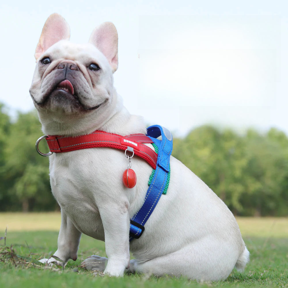 Reflective No-Pull Dog Harness - DogPlaybox