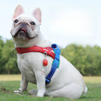 Reflective No-Pull Dog Harness - DogPlaybox