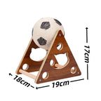 🔥LAST DAY 49% OFF - 🐱Cat Soccer Game Toy