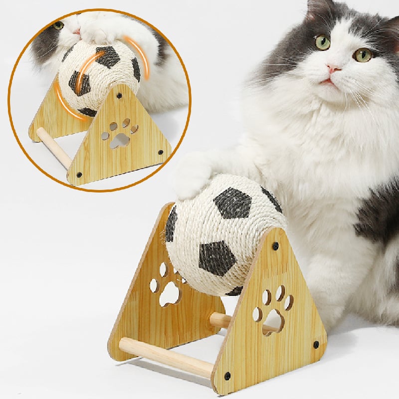 🔥LAST DAY 49% OFF - 🐱Cat Soccer Game Toy