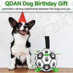 Interactive Floating Dog Soccer Ball - DogPlaybox