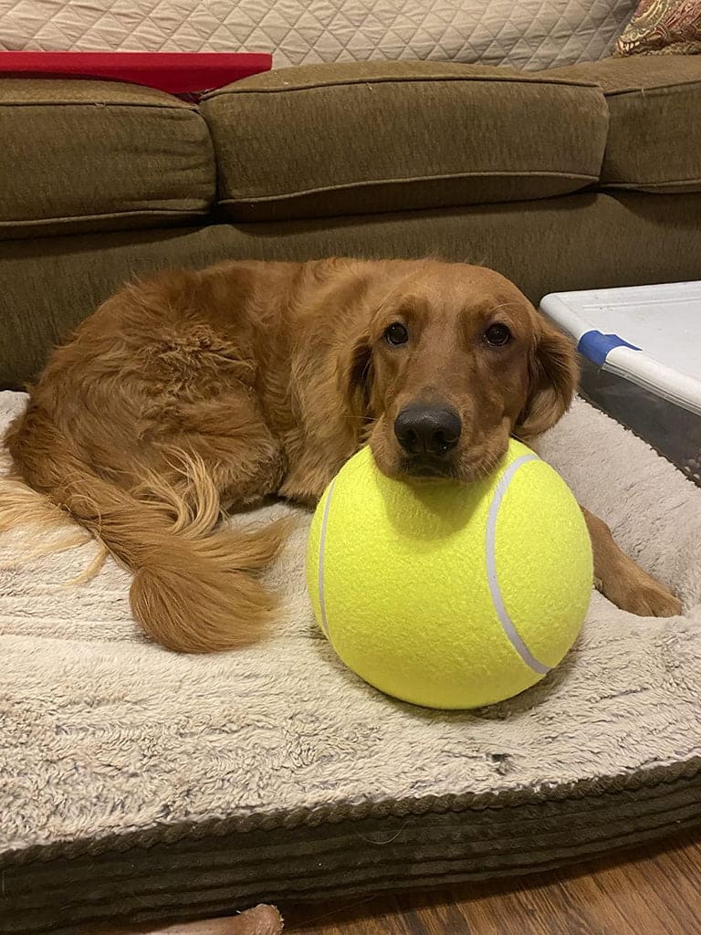 Giant Tennis Ball