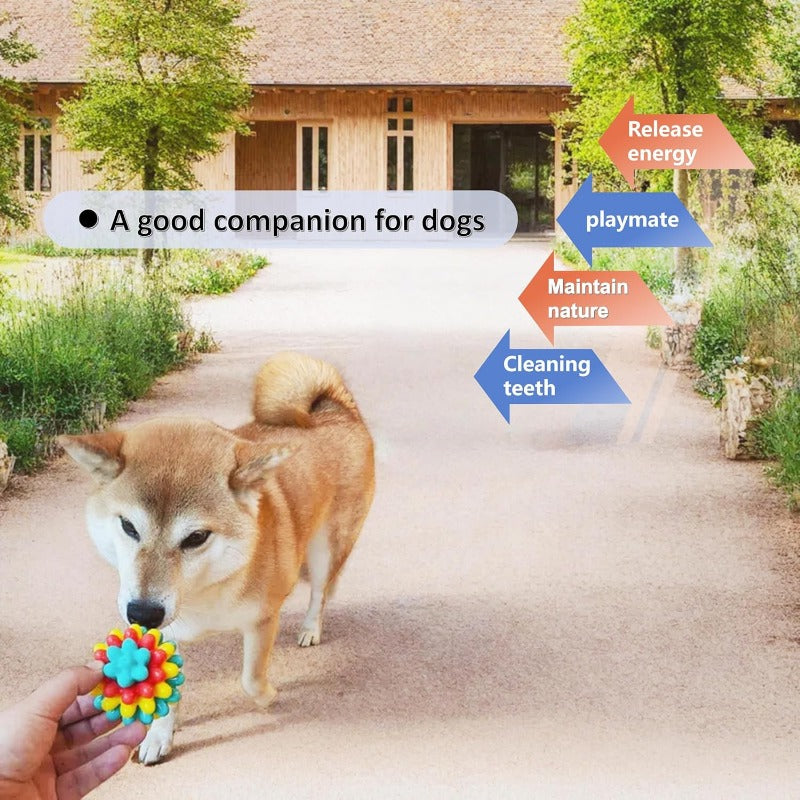 Heavy-Duty Spiky Chew Ball – Dental-Friendly Toy for Medium & Large Dogs