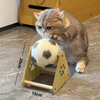 🔥LAST DAY 49% OFF - 🐱Cat Soccer Game Toy