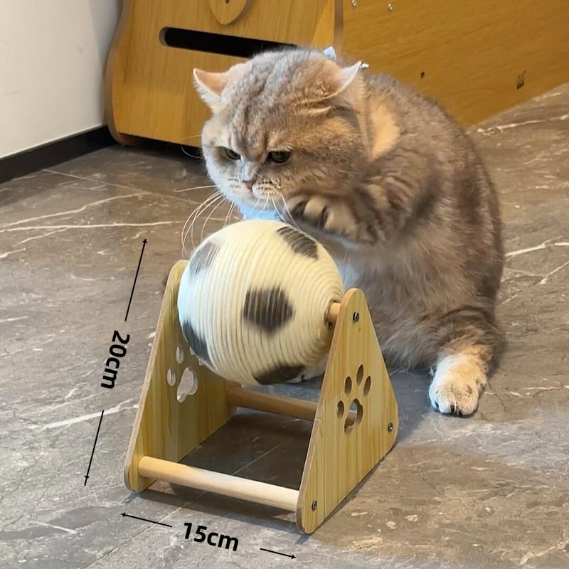 🔥LAST DAY 49% OFF - 🐱Cat Soccer Game Toy