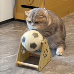 🔥LAST DAY 49% OFF - 🐱Cat Soccer Game Toy