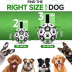 Interactive Floating Dog Soccer Ball - DogPlaybox