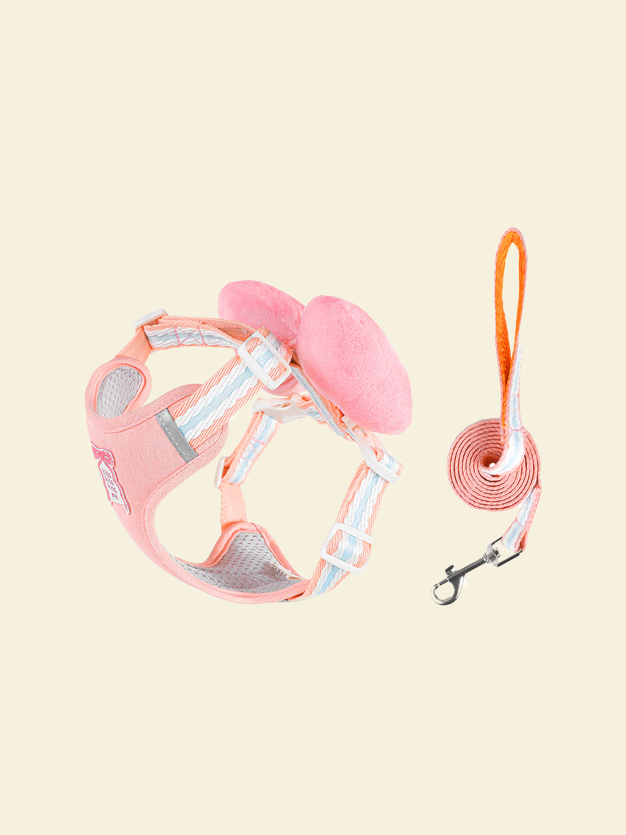 Bowtie Dog Harness Set