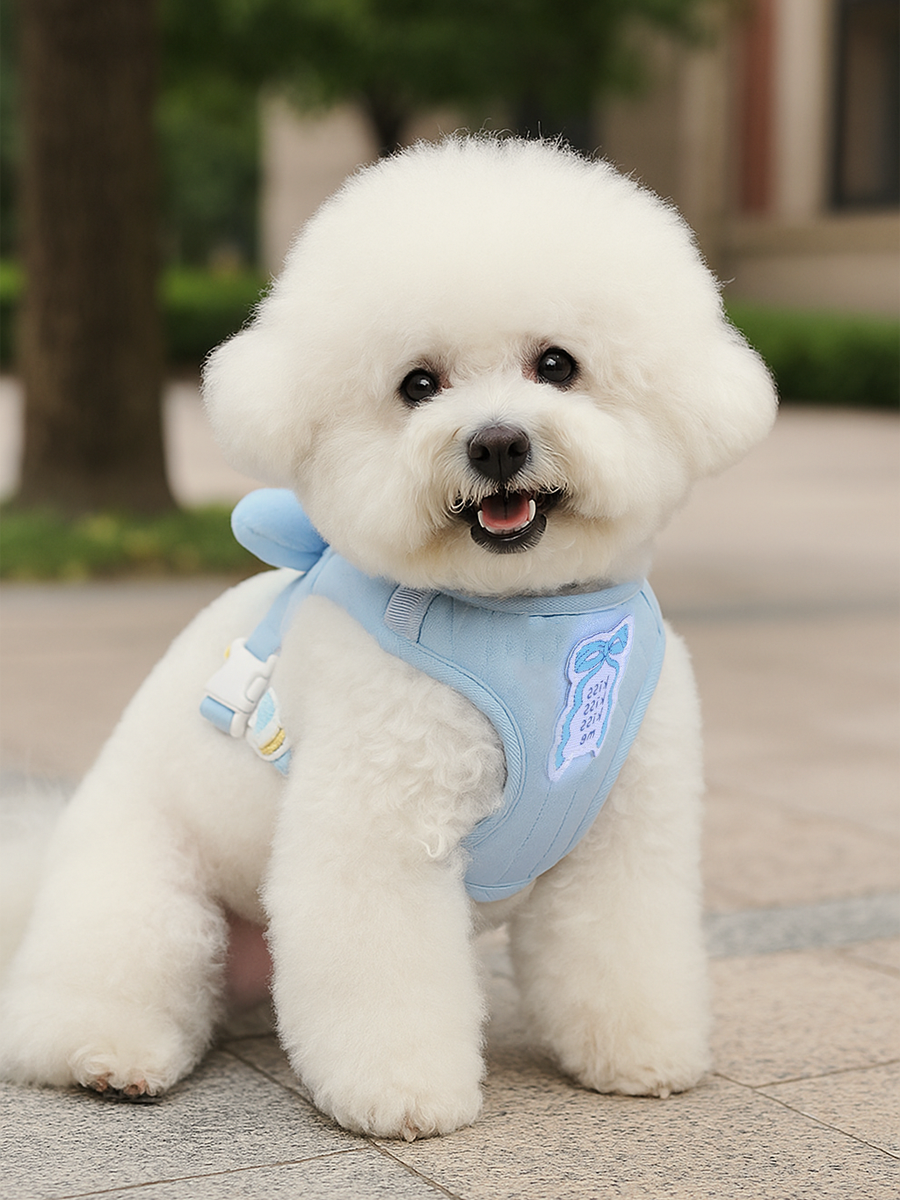 Bowtie Dog Harness Set