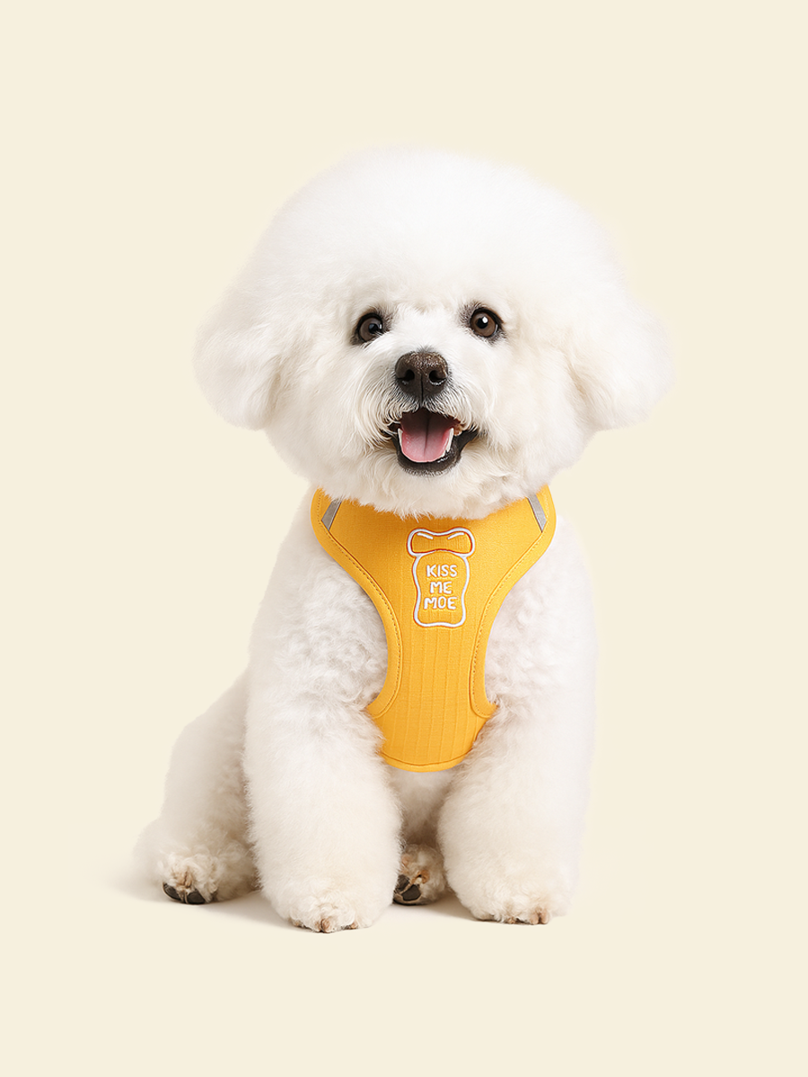 Bowtie Dog Harness Set