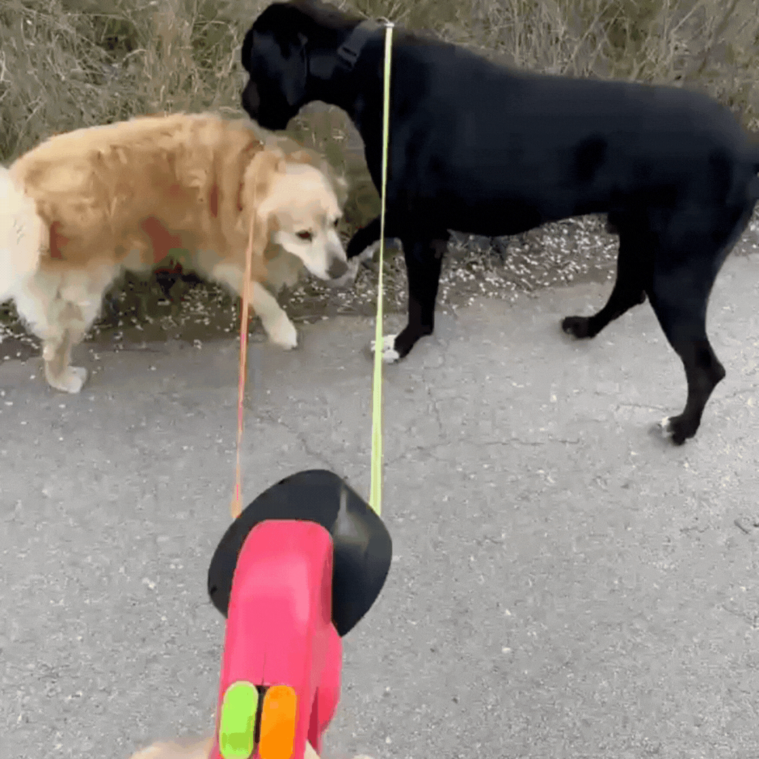 Twino™⎪Walk Two Dogs Without the Tangles