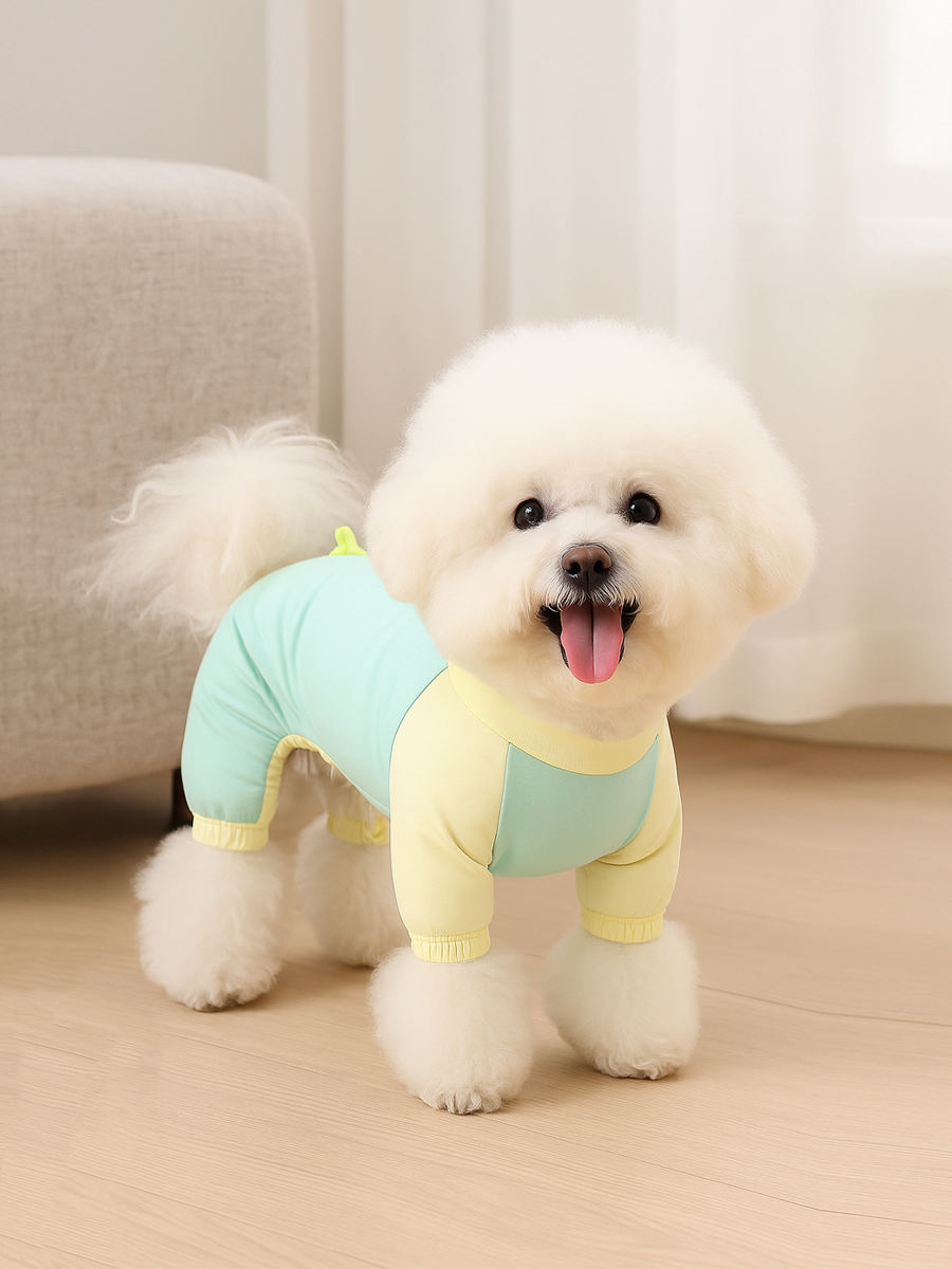 Dog Sun-Protective Clothing - Jellies