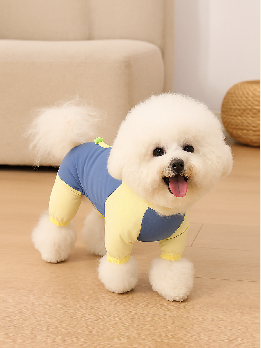 Dog Sun-Protective Clothing - Jellies