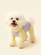 Dog Sun-Protective Clothing - Jellies