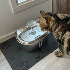 CutyPet™ Cat Fountain