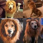 Lion Dog Costume