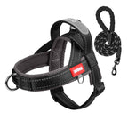 Reflective No-Pull Dog Harness - DogPlaybox