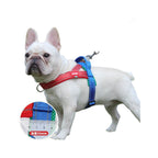 Reflective No-Pull Dog Harness - DogPlaybox
