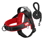 Reflective No-Pull Dog Harness - DogPlaybox