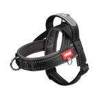 Reflective No-Pull Dog Harness - DogPlaybox