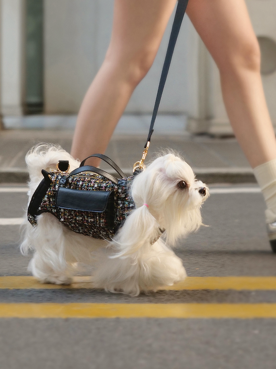 Paris Pup Pet Carrier