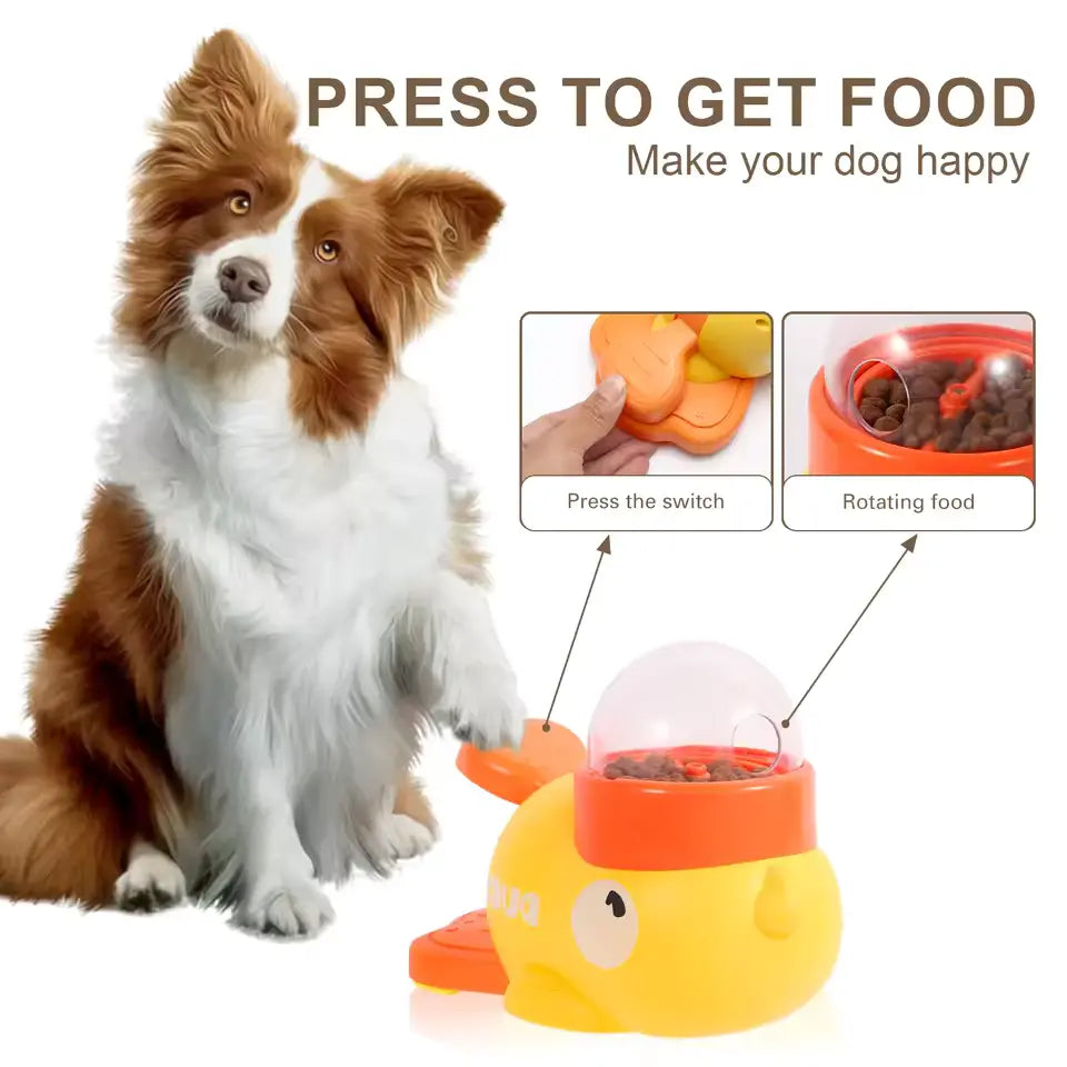 Automatic Dog Feeder