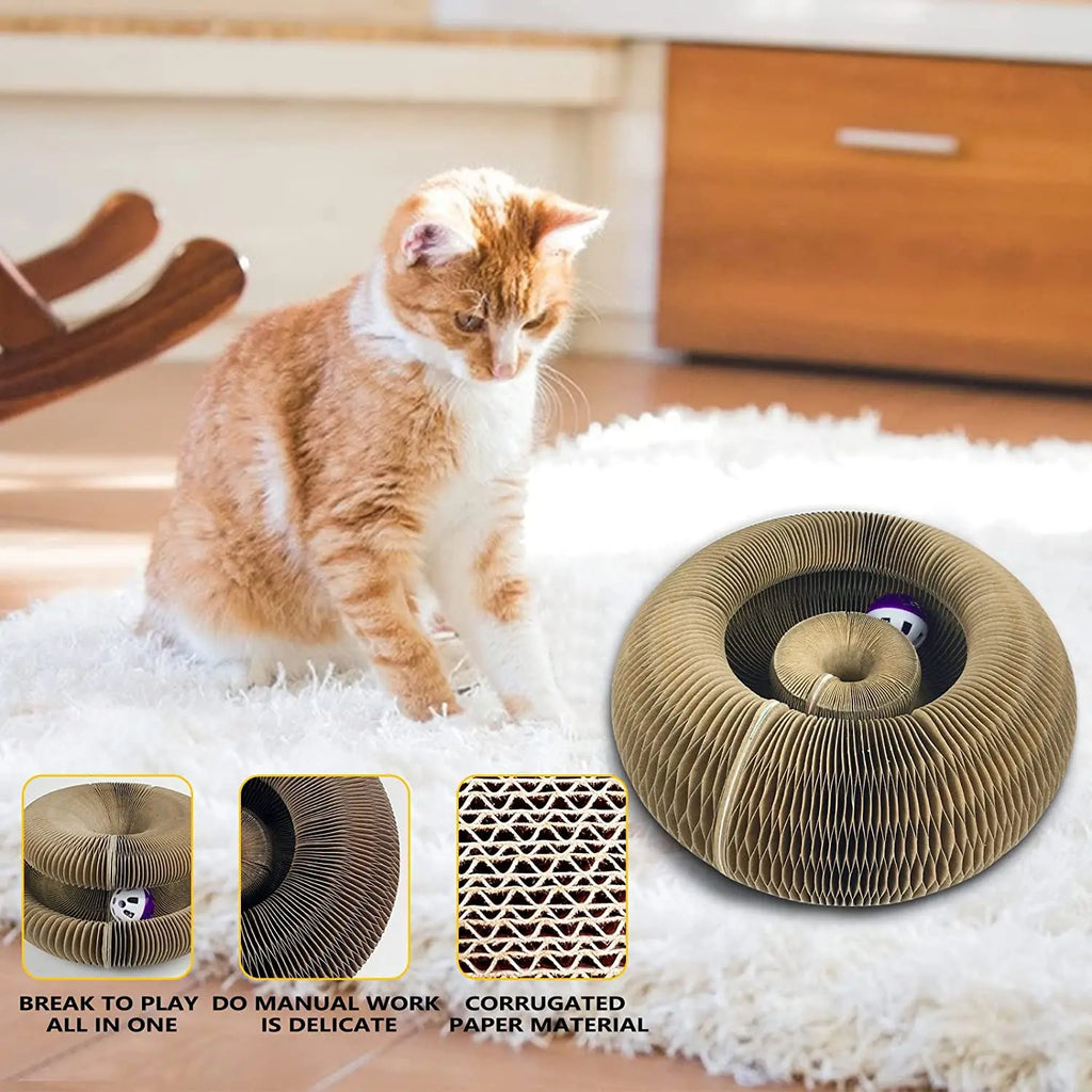 Cat Scratching Toy