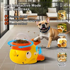 Automatic Dog Feeder