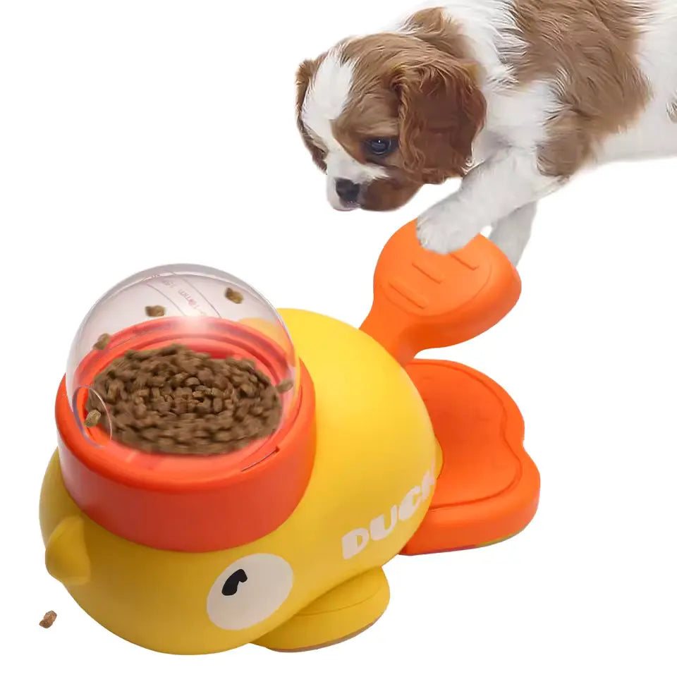 Automatic Dog Feeder