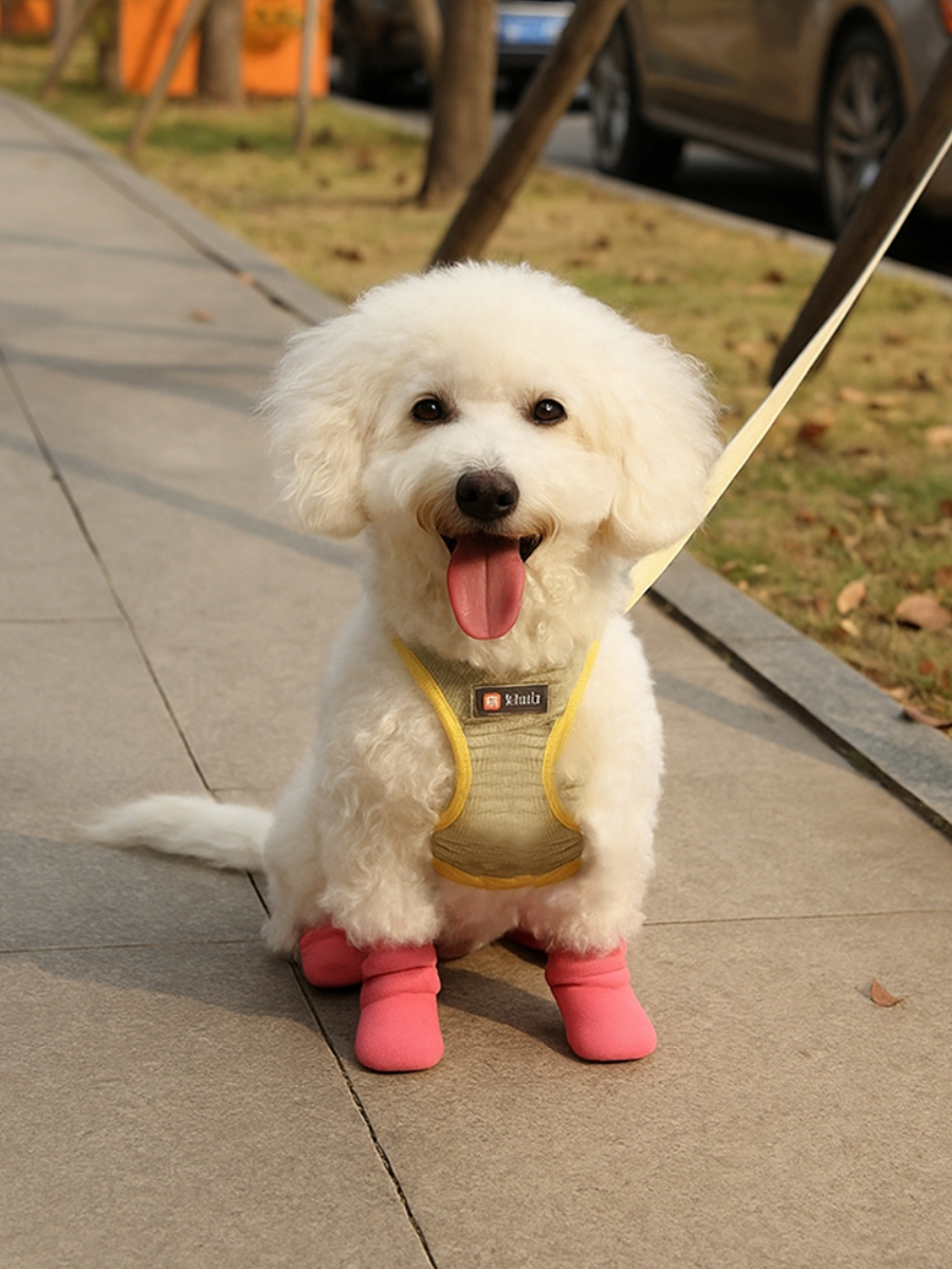 Waterproof & Anti-Slip Dog Shoes