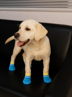 Waterproof & Anti-Slip Dog Shoes