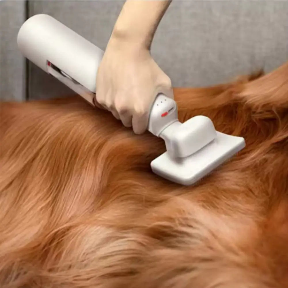 Pet Hair Remover Vacuum