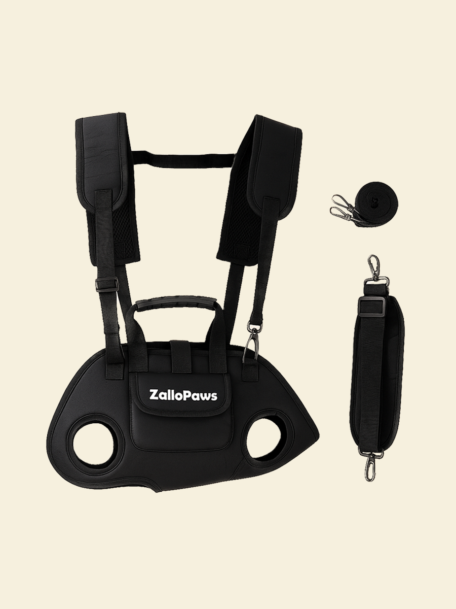 ZalloPaws Multi-Function Pet Carrier