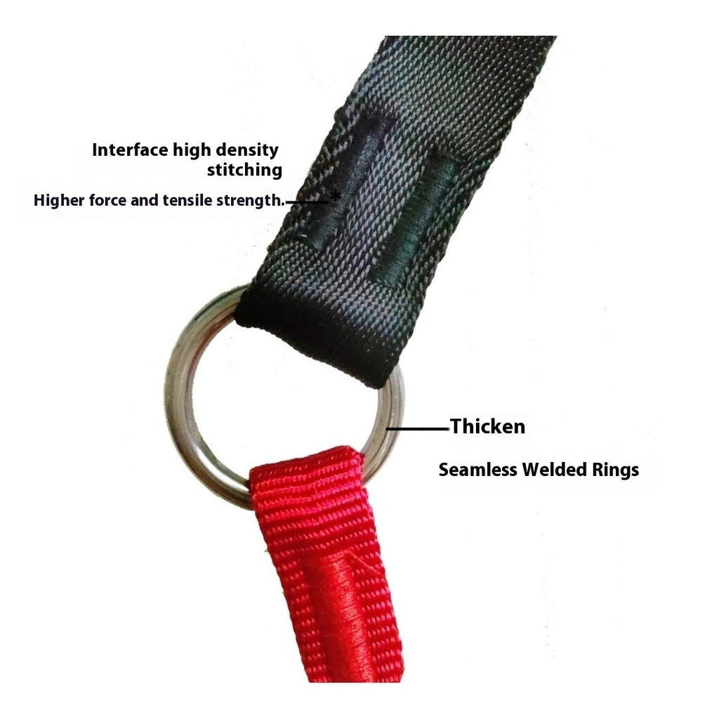 2-in-1 Slip-Lead Dog Leash – Training Collar & Walking Lead with Anti-Tangle Swivel