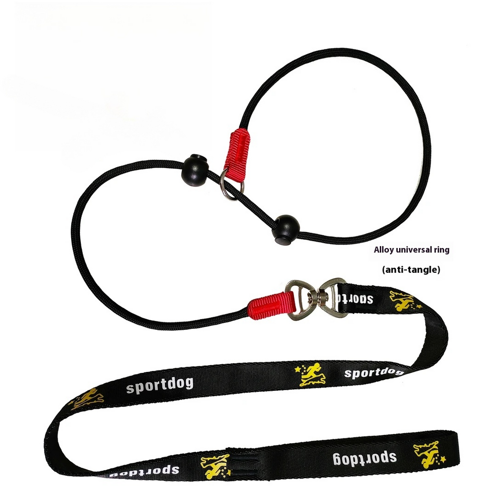 2-in-1 Slip-Lead Dog Leash – Training Collar & Walking Lead with Anti-Tangle Swivel