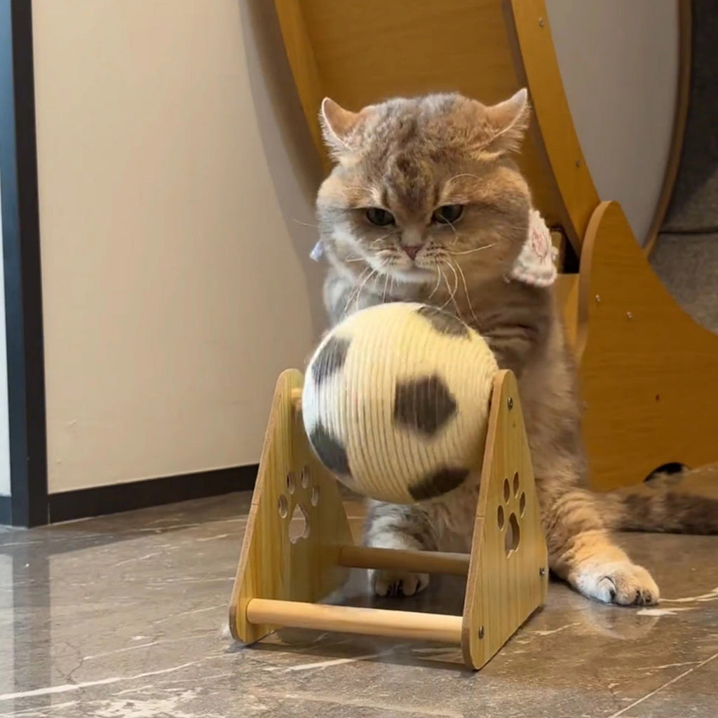 🔥LAST DAY 49% OFF - 🐱Cat Soccer Game Toy